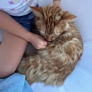 Meet your Posher, Grace